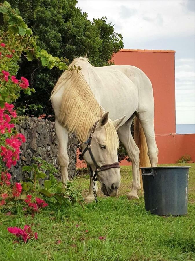 Quinta da Falésia - Casa Amarela Ponta Delgada Exterior foto