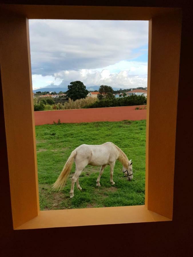 Quinta da Falésia - Casa Amarela Ponta Delgada Exterior foto