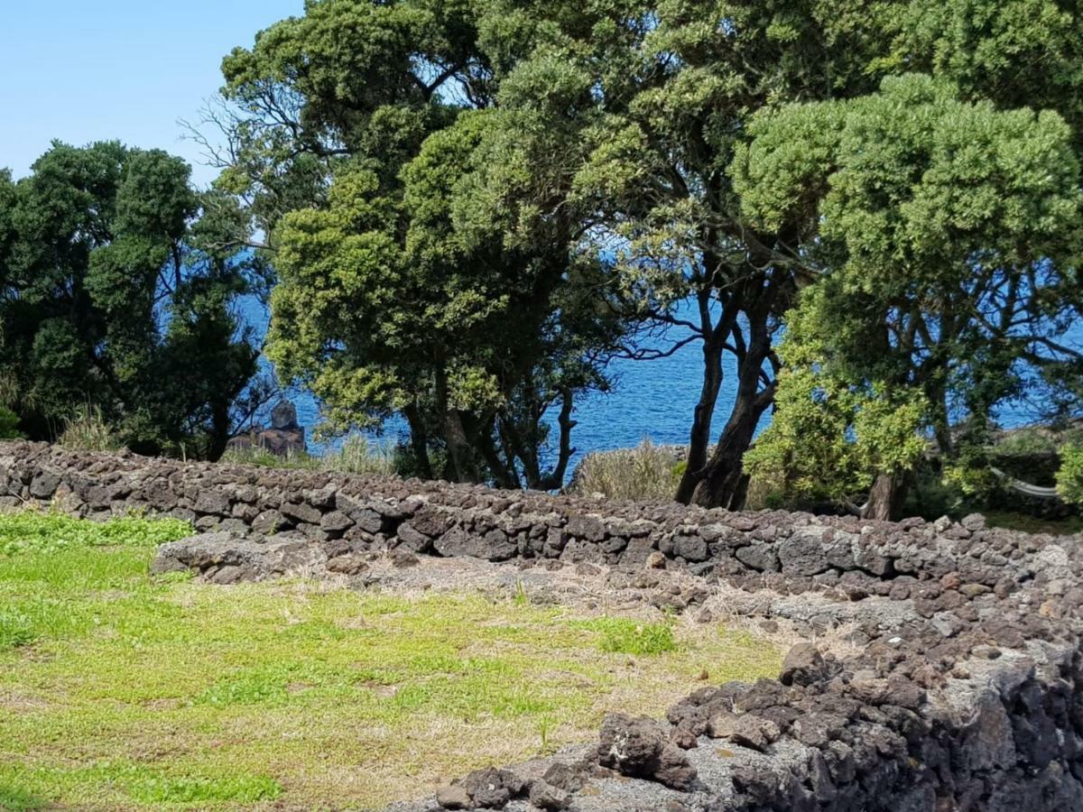Quinta da Falésia - Casa Amarela Ponta Delgada Exterior foto