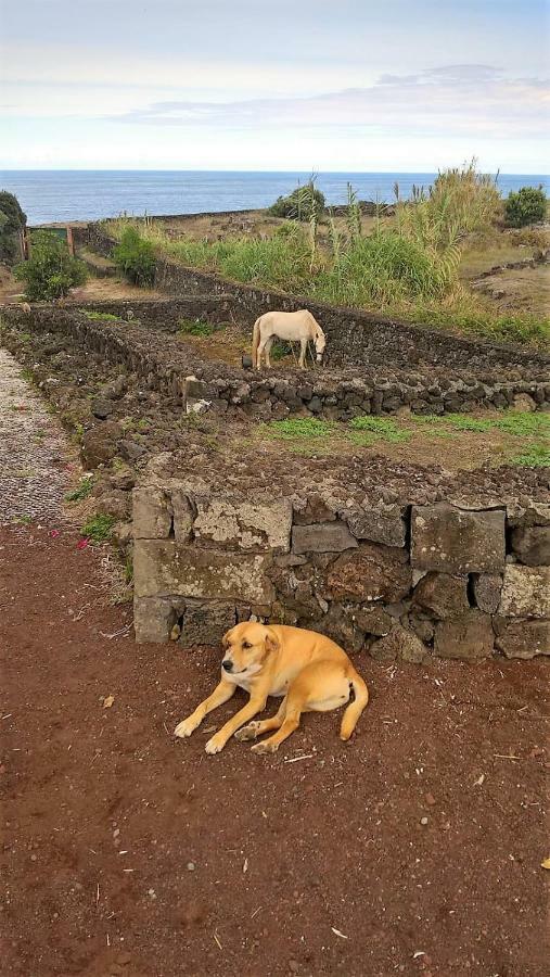 Quinta da Falésia - Casa Amarela Ponta Delgada Exterior foto